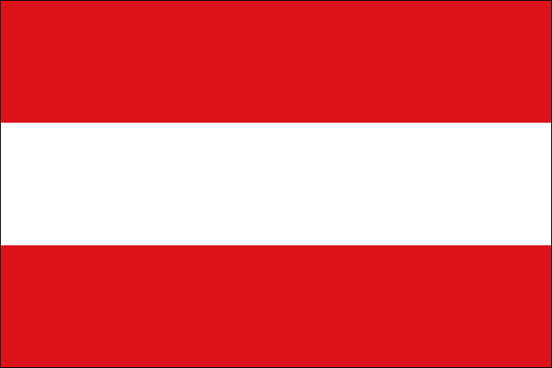 Löwen | Stadtflagge 