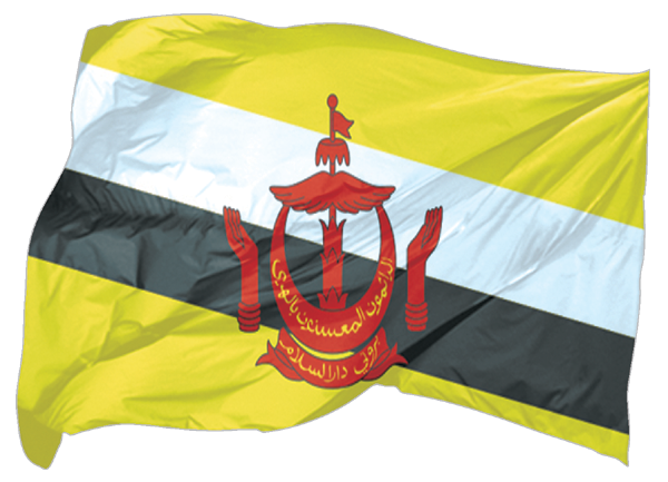 Brunei Darussalam | waving flag as sticker