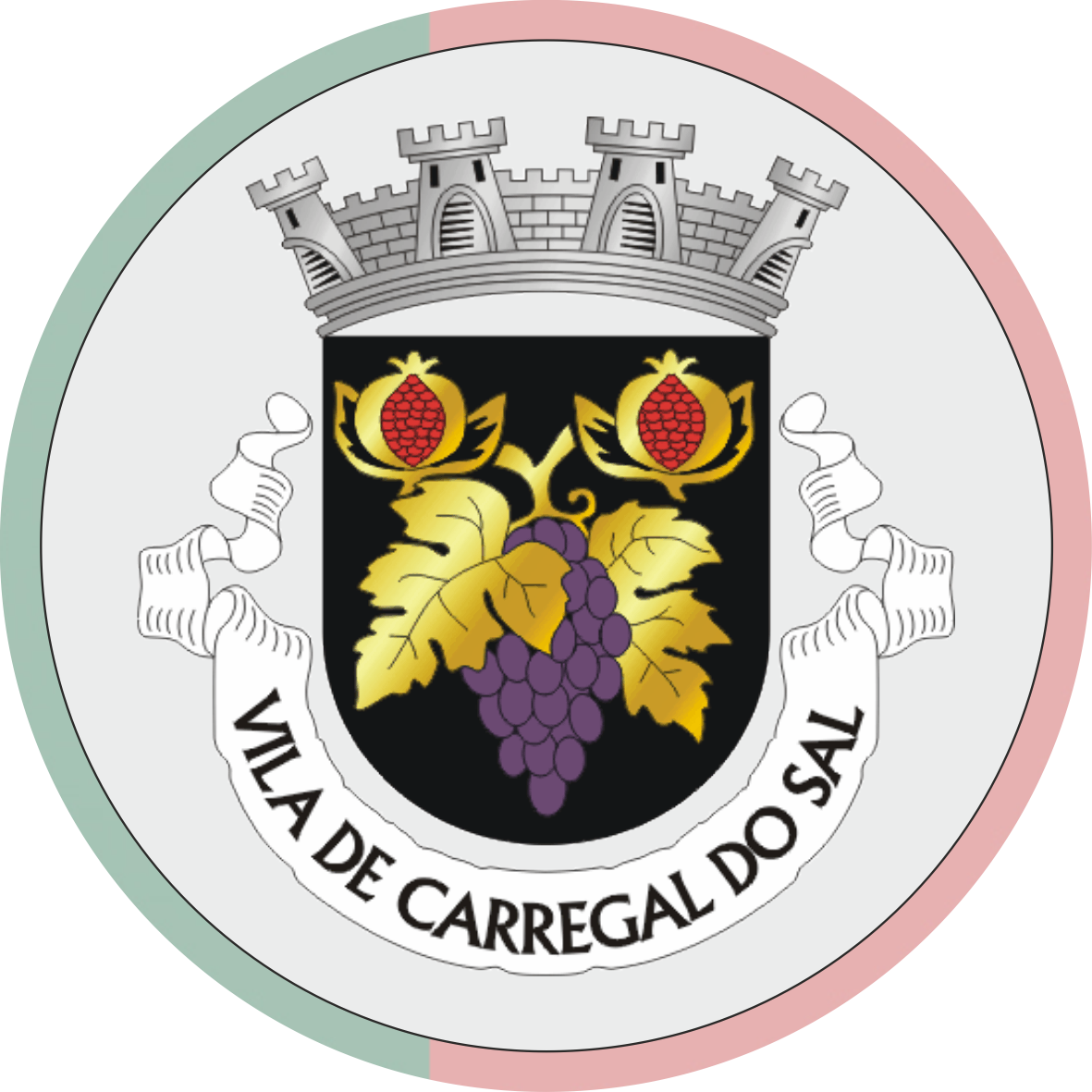 Stadtwappen von Carregal do Sal