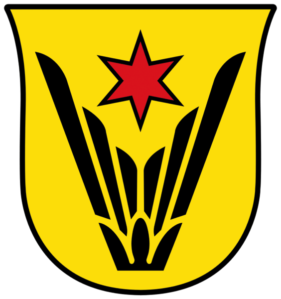 Stadtwappen von Schwalbach am Taunus