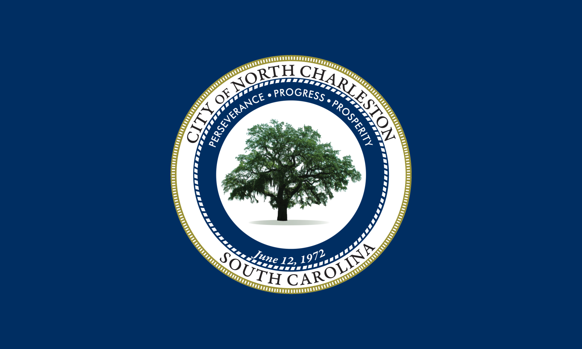 Stadtflagge North Charleston