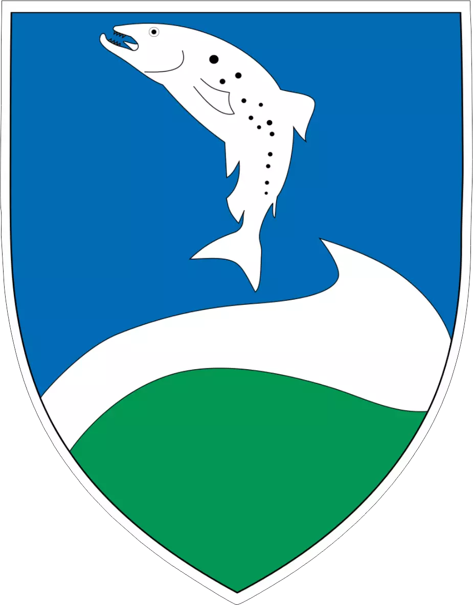 Dänische Stadtwappen | Ringkøbing-Skjern Kommune