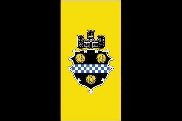 Stadtflagge Pittsburgh