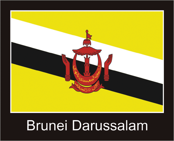 Flagge | Brunei Darussalam -schwarzes Design