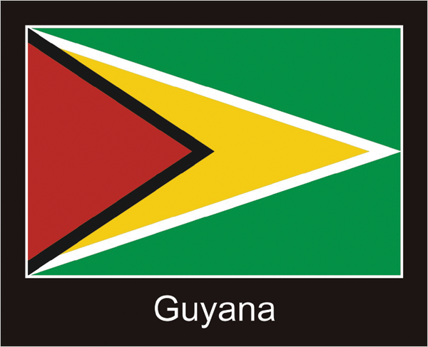 Guyana | Aufkleber mit schwarzem Design 