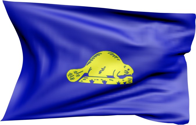 Oregon (reverse side) | Waving flag as a sticker