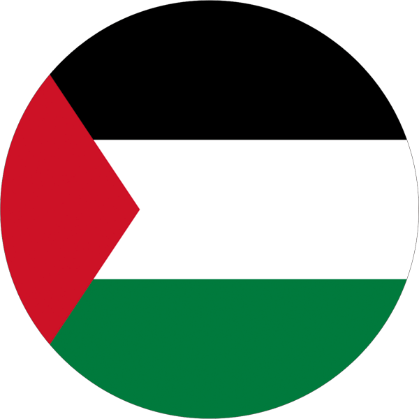 Palestine | round cut sticker 