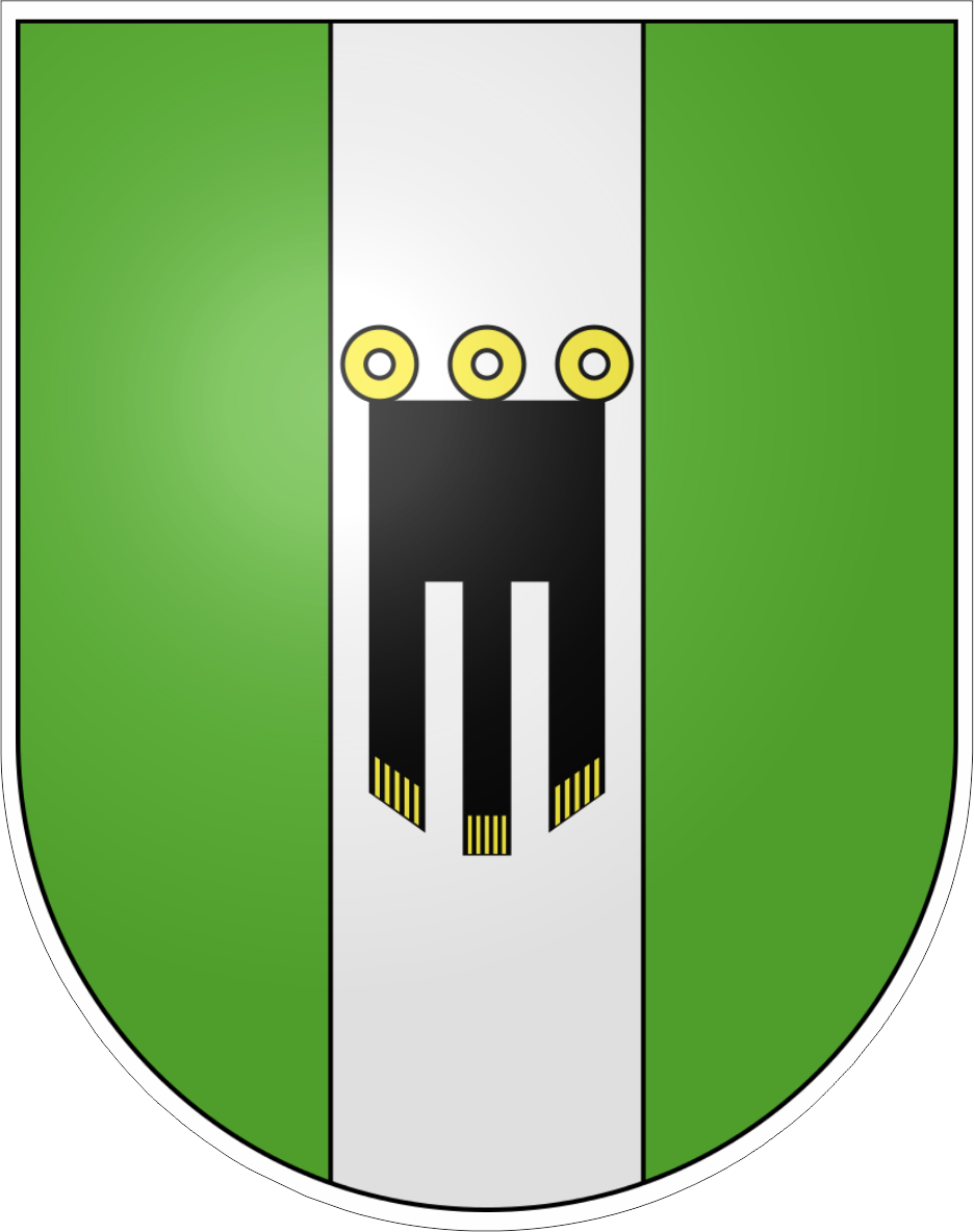 Schweizer Stadtwappen | Buchs